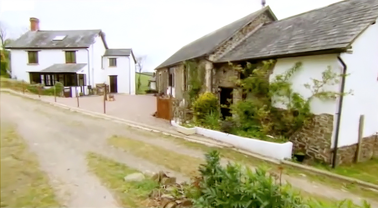 Screen Shot 2020-06-17 2